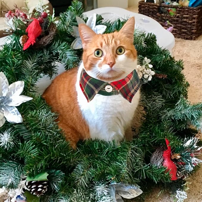 ADOGGYGO Christmas Cat Collars Breakaway - Image 3
