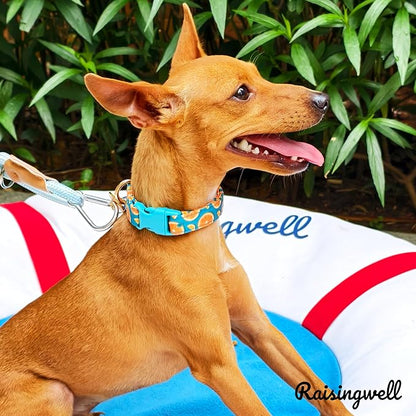 Cute Dog Collar Fruit Orange Pattern - Image 6
