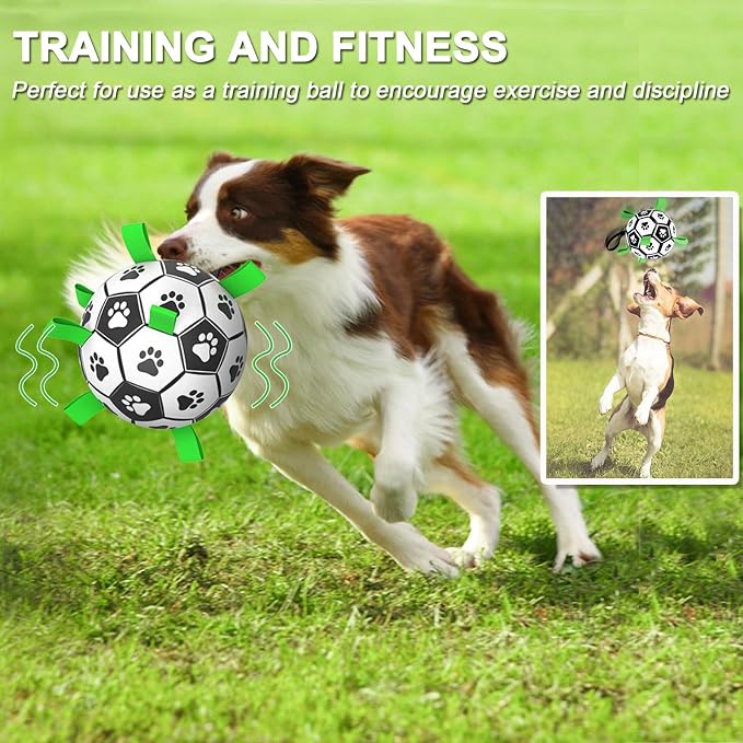 Amasiver Dog Soccer Ball Toys - Image 2