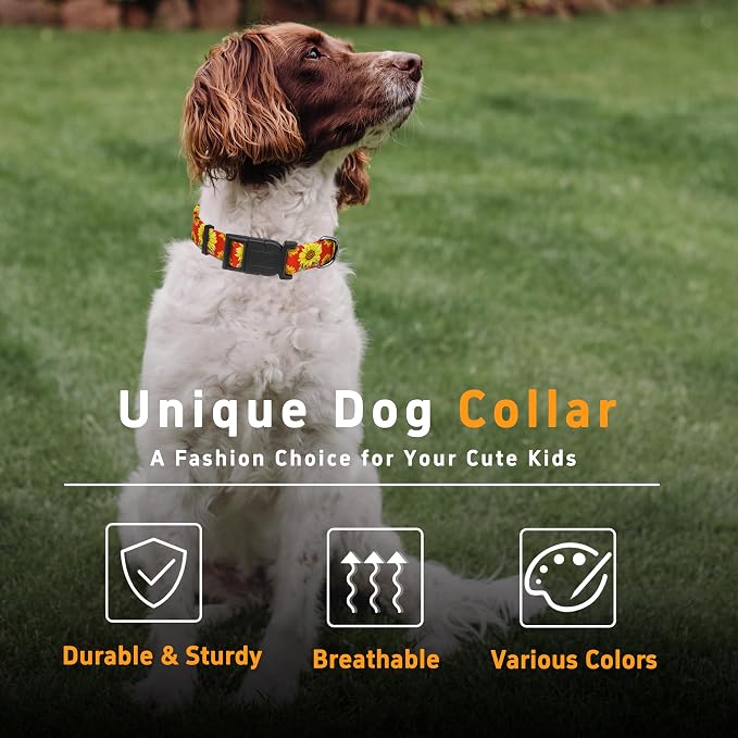 Dog Collar, Floral Boys Girls Puppy Collar - Image 5
