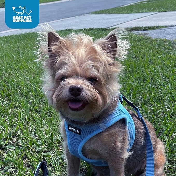 Best Pet Supplies Voyager Step-in Air Harness - Image 10