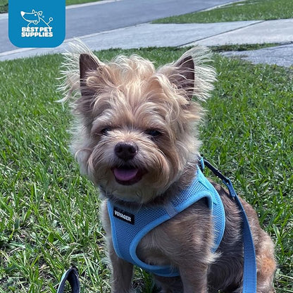 Best Pet Supplies Voyager Step-in Air Harness - Image 10