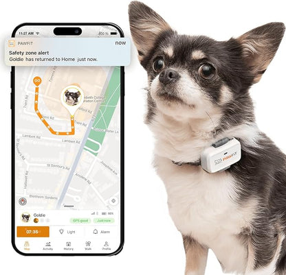Pawfit Lite for Small Dogs 4g GPS Tracker | Real Time Tracking | Activity by Pawfit