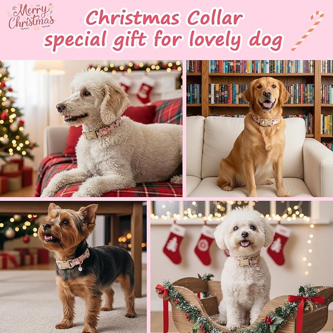 Christmas Dog Collar for Small Dogs, Adjustable Poly-Cotton Fabric Collar - Image 2
