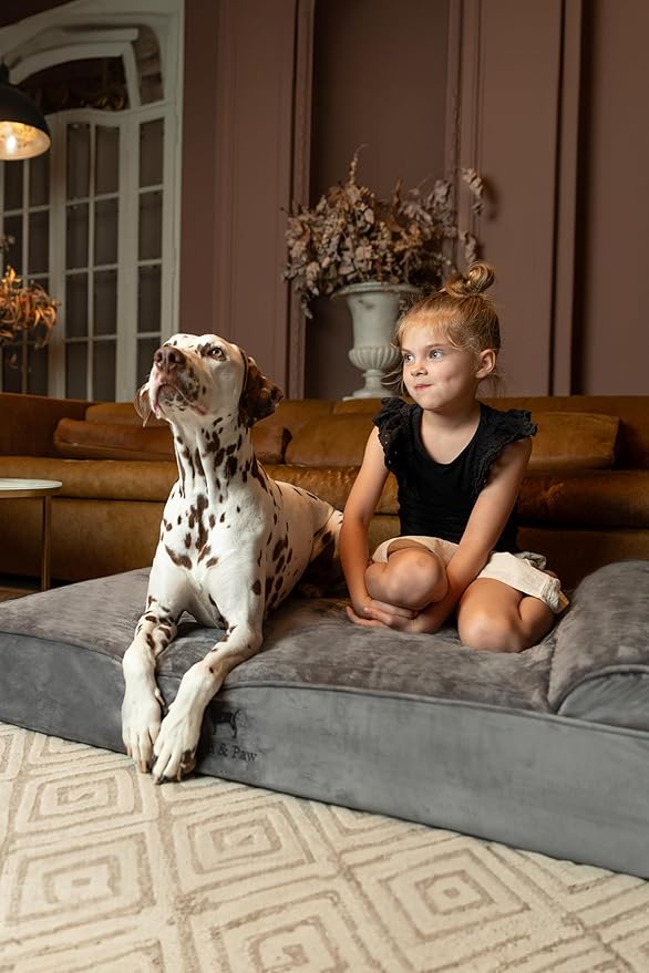 NOAH & PAW XL Dog Bed, Orthopedic Large Dog Beds, Eggshell Memory Foam Infused - Image 2
