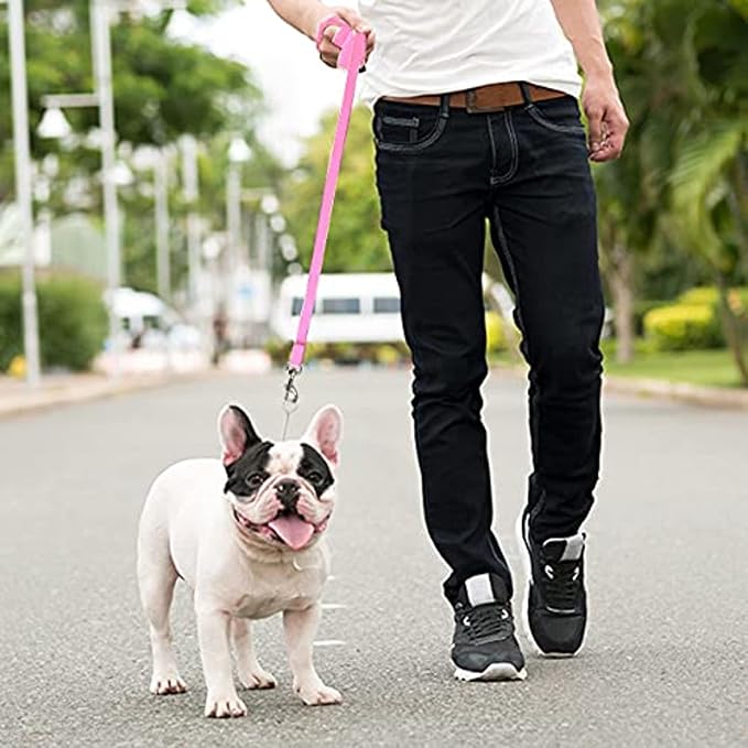 Downtown Pet Supply - Image 5