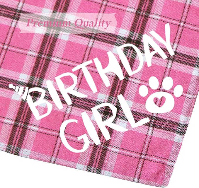 STMK Dog Birthday Outfits - Image 6