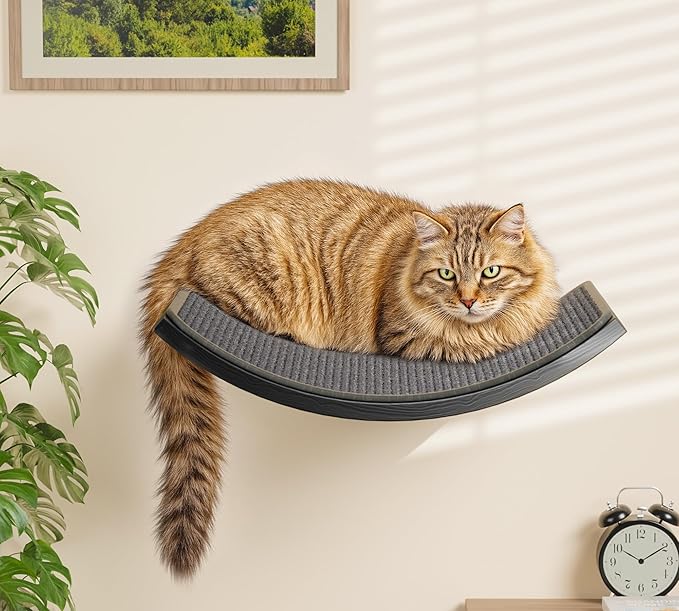 Cat Wall Shelves for Large Cats Set, Wall Mounted Climbing Shelves for Sleeping - Image 8
