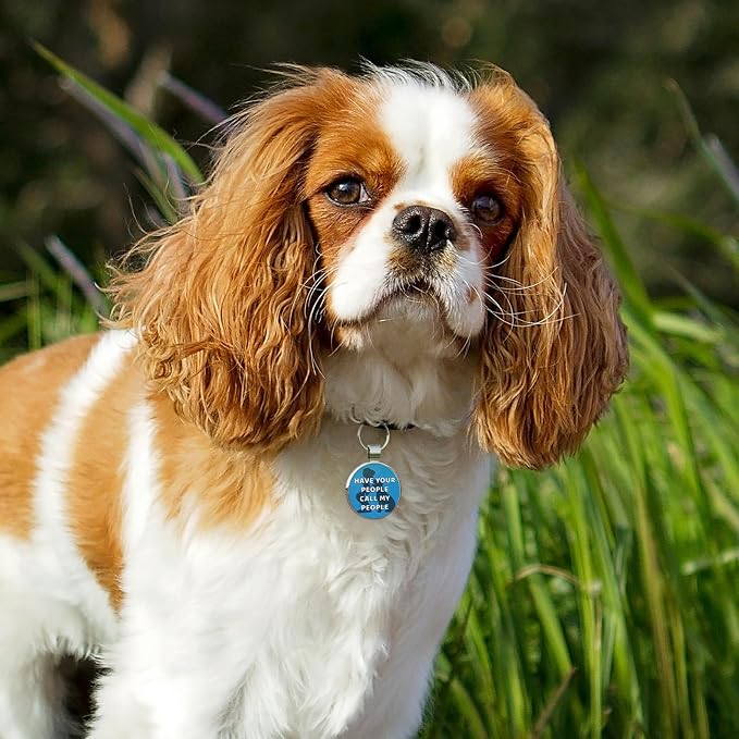MYLUCKYTAG QR Code Pet ID | Personalized Dog & Cat Collar Tag | Online Profile - Image 4