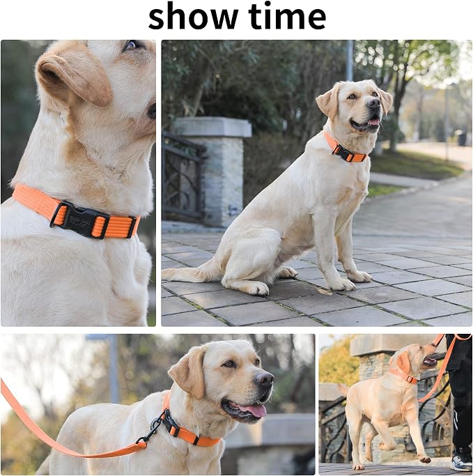 lynxking Dog Collar Soft Padded Breathable Cotton Solid Color Strong Adjustable - Image 6