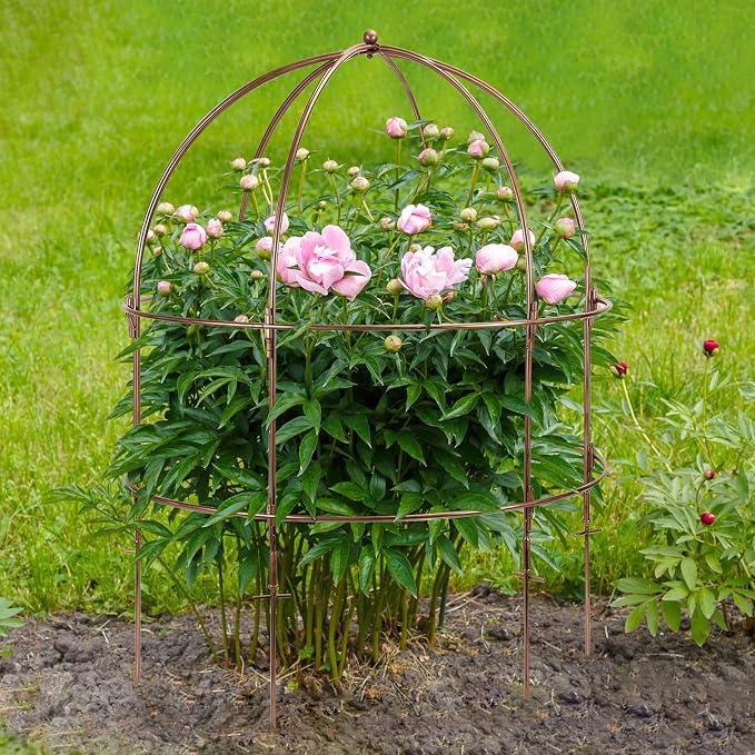 NNG 26 Inch Bird Cage Plant Support, Metal Grow Through Flower Trellis Cage - Image 7