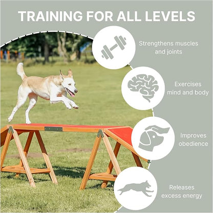 Trixie Dog Agility Walk and Ramps – Dog Obstacle Training Equipment Training - Image 4
