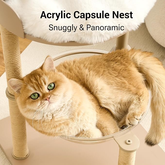 Modern Cat Tree Tower for Indoor Cats up to 12lbs, Wood Cat Bed - Image 3