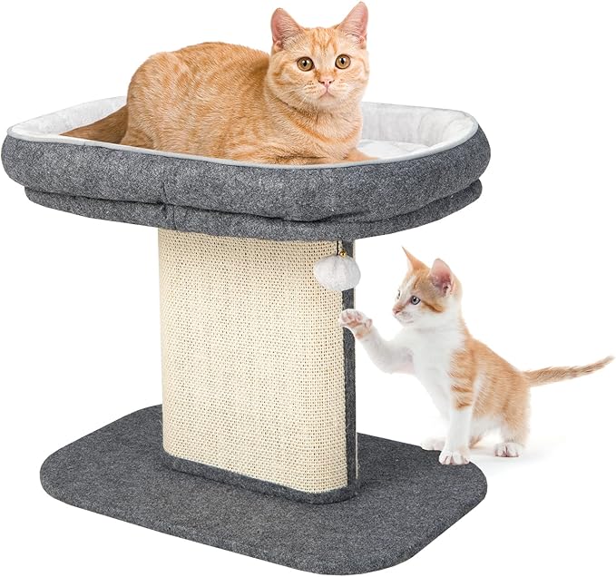 Tangkula Cat Tree for Indoor Cats, 2-Tier Cat Tower by TANGKULA