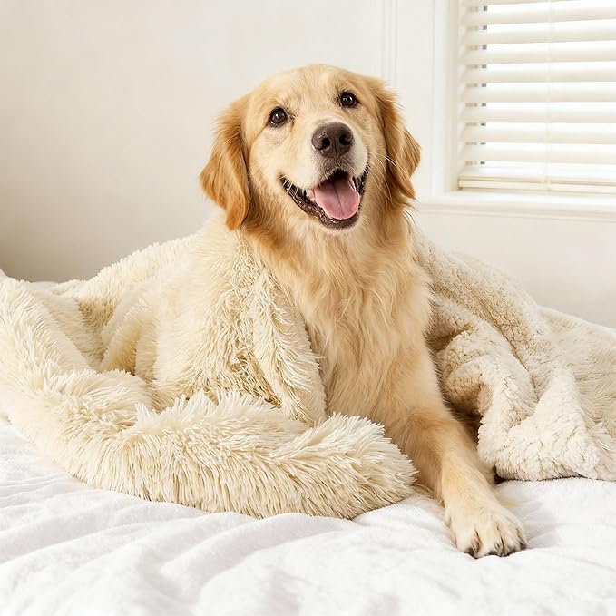 gogobunny Waterproof Dog Blanket by gogobunny