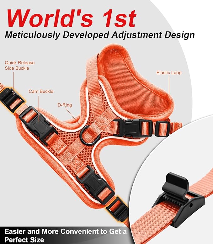Cat Harness and Leash for Walking Escape Proof Soft Adjustable Cat Leash - Image 5