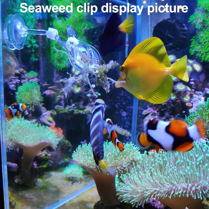 31.5Inch Long Corals Grabber, reefs Feeders, Aquarium Veggie Feedting Tool - Image 5