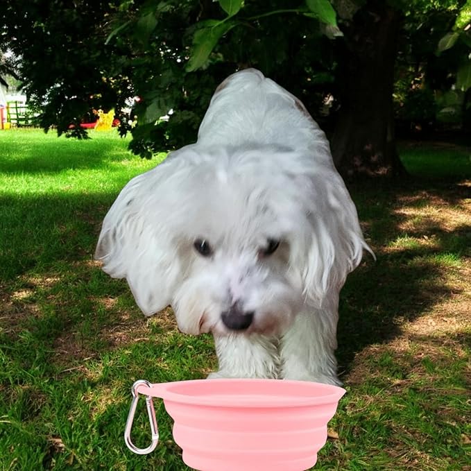 Pet Accessories Set, Collapsible Bowl, Waste Bag Dispenser - Image 7
