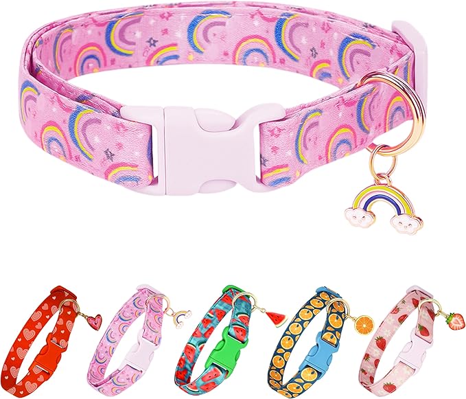 Cute Dog Collar Rainbow Pattern by Raisingwell