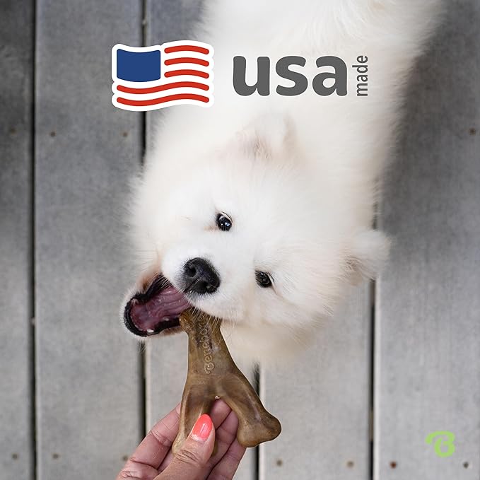 Benebone Wishbone Durable Dog Chew Toy - Image 5
