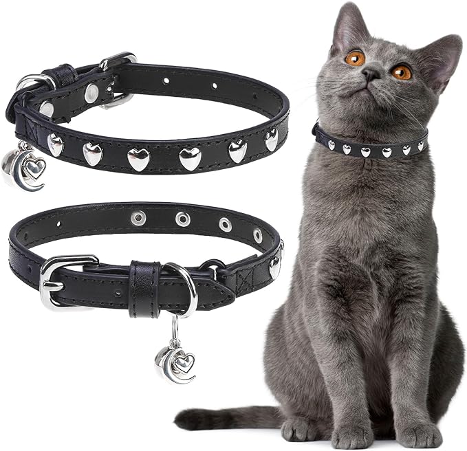 EXPAWLORER Leather Cat Collar for Girl Boy- Adjustable Pet Collar by EXPAWLORER