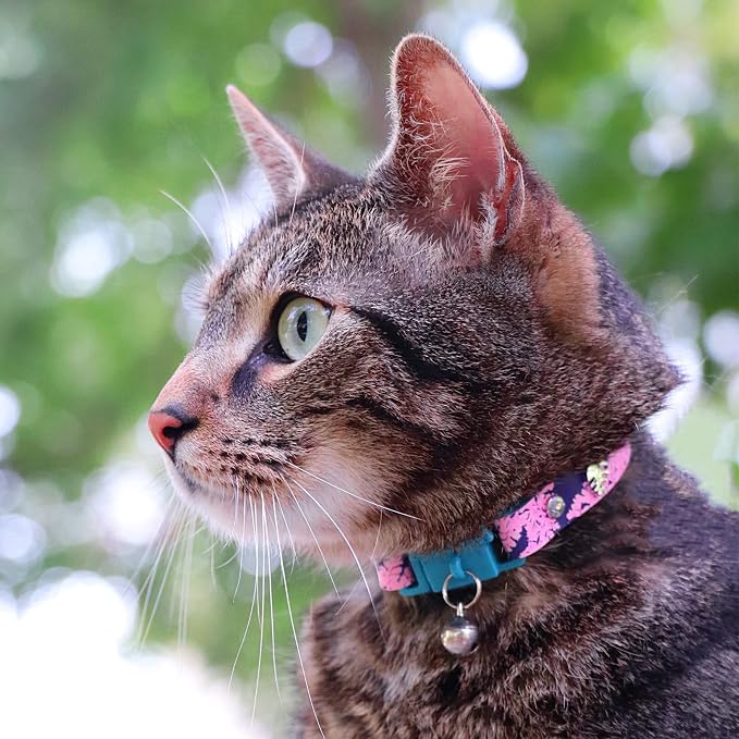 Kittyrama Botanicals Fern Cat Collar. Award Winning. Hypoallergenic, Quick - Image 4