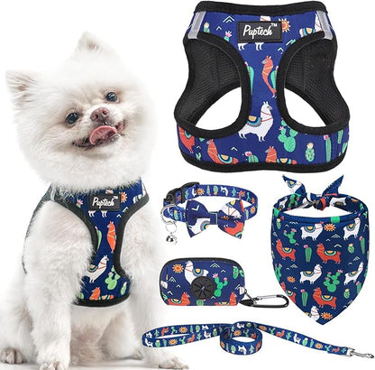 PUPTECK Adjustable Dog Harness Collar and Leash Set, Step in No Pull Pet Harness by PUPTECK