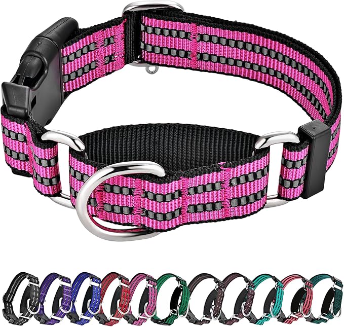 Hikiko Martingale Dog Collars Reflective Nylon Dog Collar by Hikiko