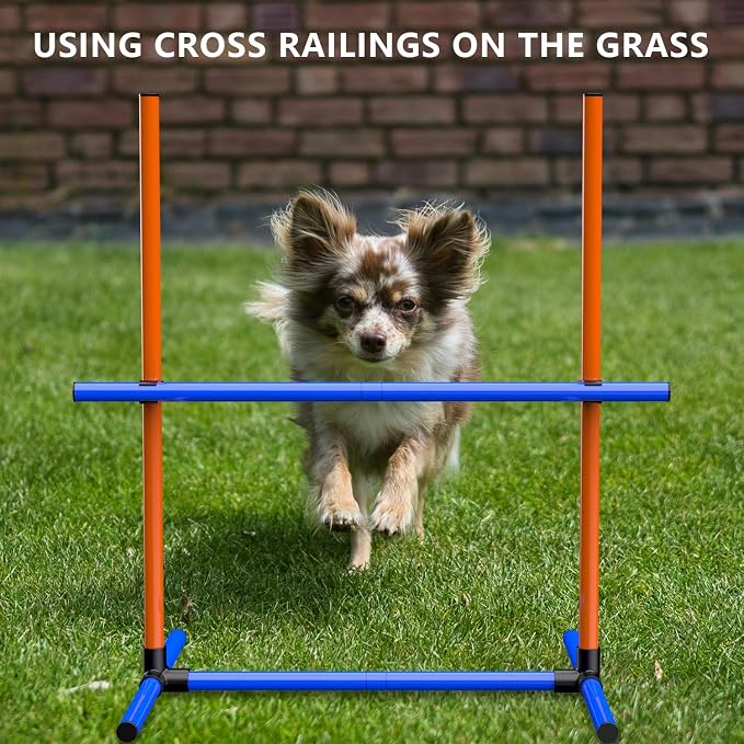 Dog Agility Training Jumping Hoop - Image 6