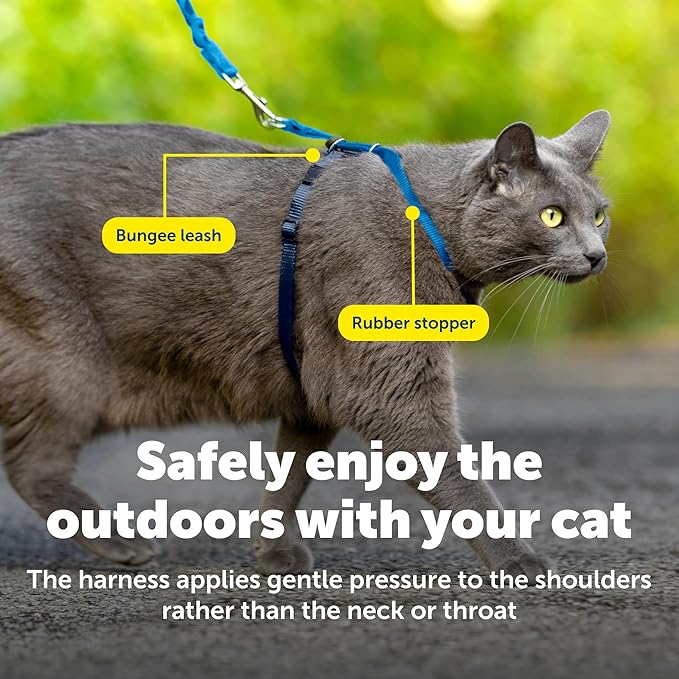 PetSafe Come With Me Kitty Cat Harness & Bungee Leash - Image 7