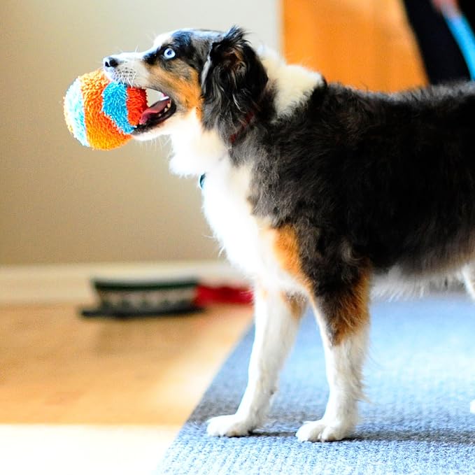 Chuckit! Indoor Fetch Ball Dog Toy - Image 6