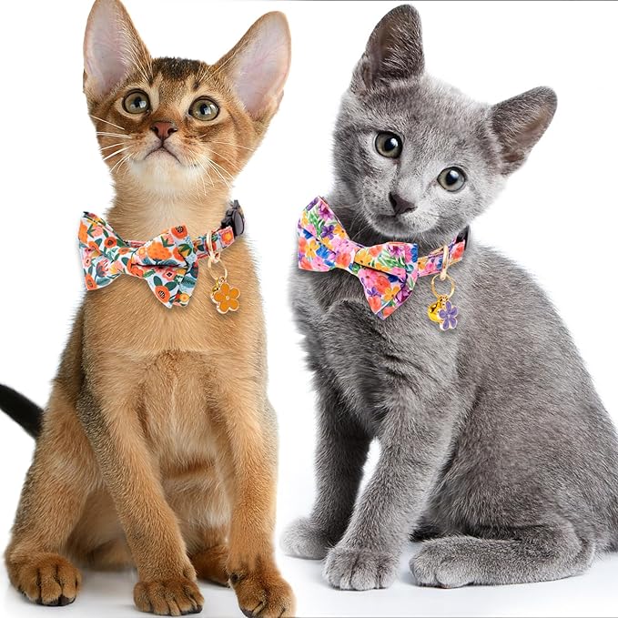 Faygarsle 2 Pack Cat Collar - Image 6