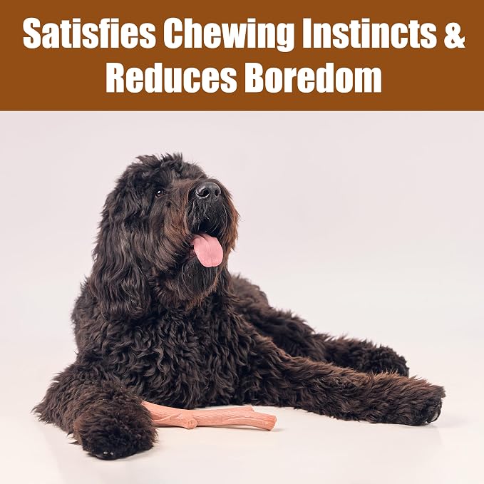 SPOT Bam-Bones Plus Branch -Bamboo Fiber & Nylon, Durable Long Lasting Dog Chew - Image 8
