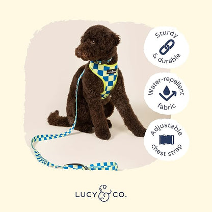 Lucy & Co. Lime Green with Blue Checker Smiley Faces, Cute Reversible Dog - Image 4