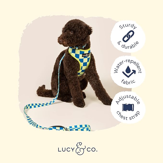 Lucy & Co. Lime Green with Blue Checker Smiley Faces, Cute Reversible Dog - Image 4