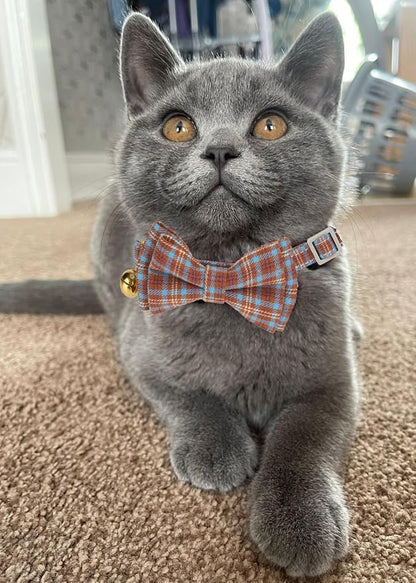 2 Pack Soft Cotton Cat Collars - Image 4
