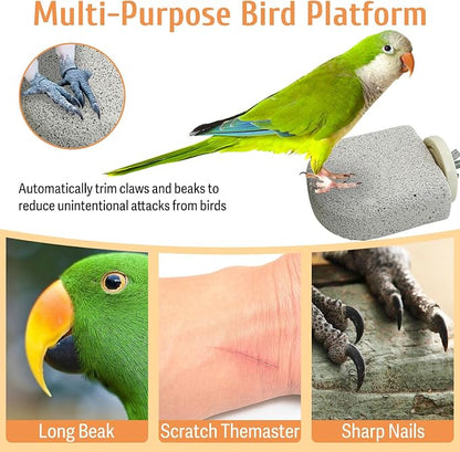 PINVNBY 4 PCS Bird Perch Stands Parrot Calcium Perch Beak Grinding Stone Foot - Image 5