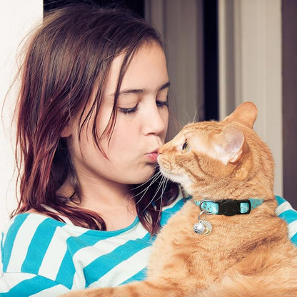 4 PCS Breakaway Cat Collars - Image 4