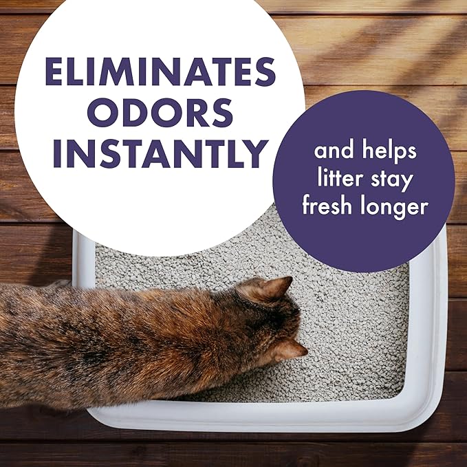 Arm & Hammer Forever Fresh Cat Litter Deodorizer, Wild Lavender, Essential Oils - Image 2