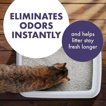 Arm & Hammer Forever Fresh Cat Litter Deodorizer, Wild Lavender, Essential Oils - Image 2