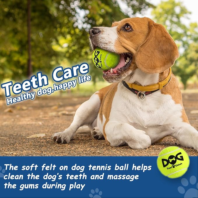 Squeaky Tennis Balls for Dogs - Image 4