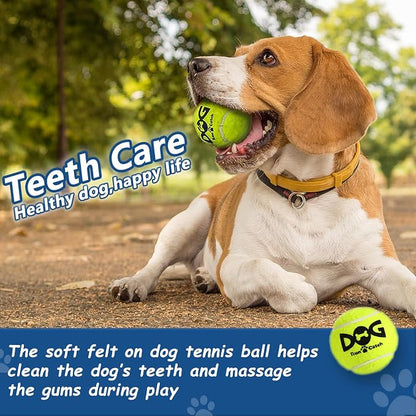 Squeaky Tennis Balls for Dogs - Image 4