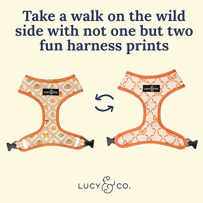 Lucy & Co. Cute Reversible Dog Harness Walking Halter - Image 4