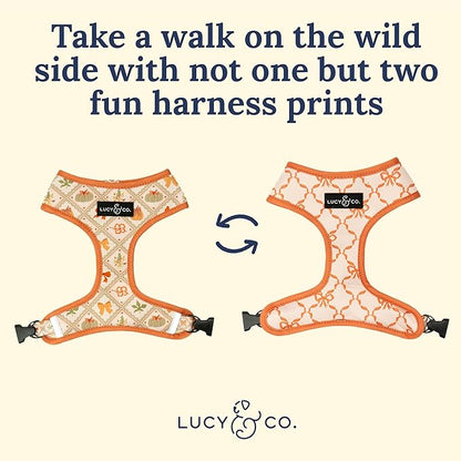 Lucy & Co. Cute Reversible Dog Harness Walking Halter - Image 4