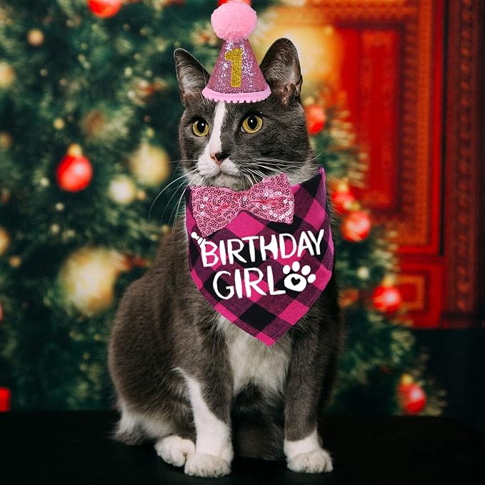 STMK Cat Birthday Decorations, Cat Birthday Hat - Image 2