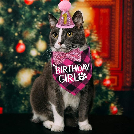STMK Cat Birthday Decorations, Cat Birthday Hat - Image 2
