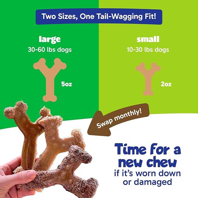 Chew'ems Durable Chew Toys for Small Dogs, Long-Lasting & Flavorful Chew Dog - Image 5