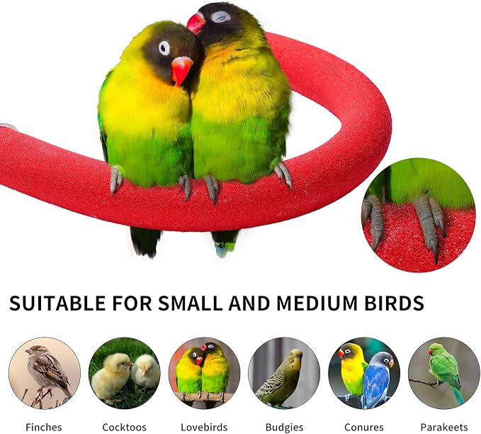 U Shape Parrot Perch Stand Toy Bird Platform Sand Paw Grinding Clean Stick - Image 4