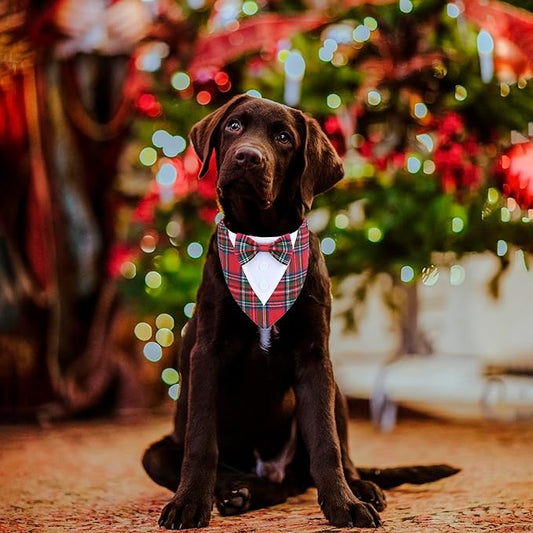 ADOGGYGO Christmas Dog Tuxedo Bandana, Adjustable Christmas Costume - Image 2