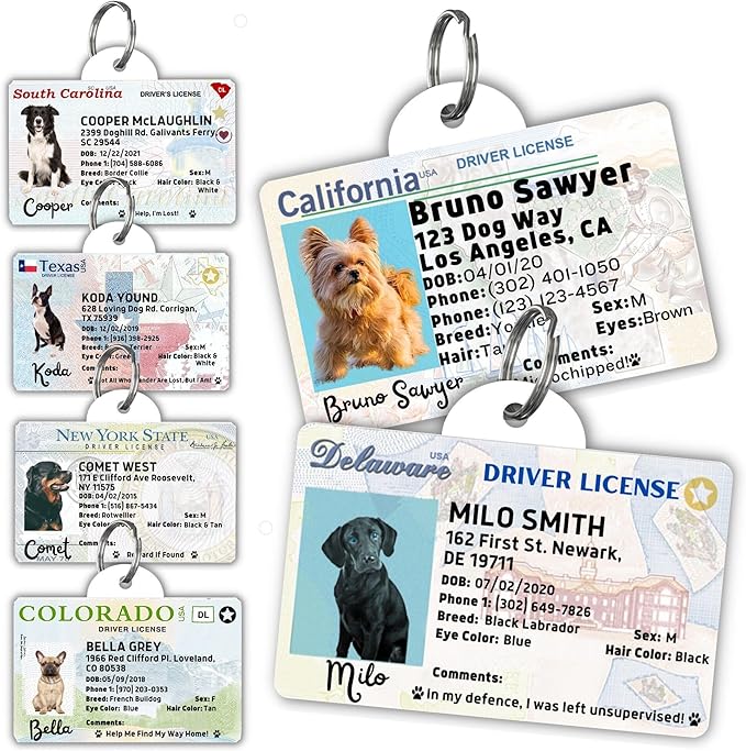 PawFurEver Personalized Dog Driver License ID Tag by PawFurEver